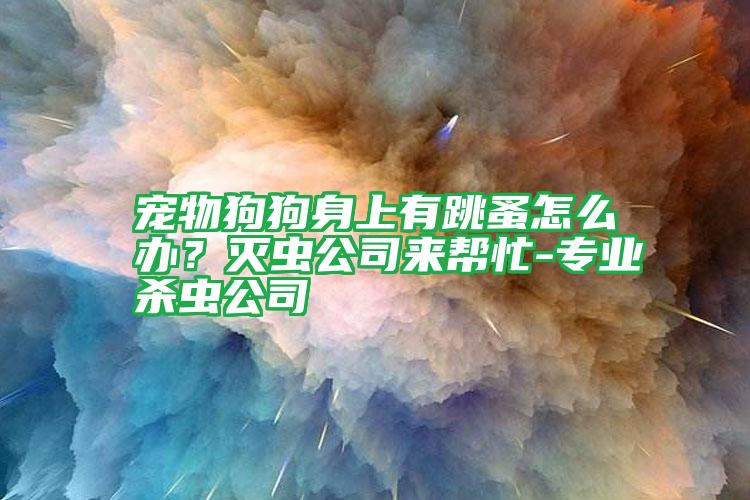 寵物狗狗身上有跳蚤怎么辦?滅蟲公司來幫忙-專業(yè)殺蟲公司
