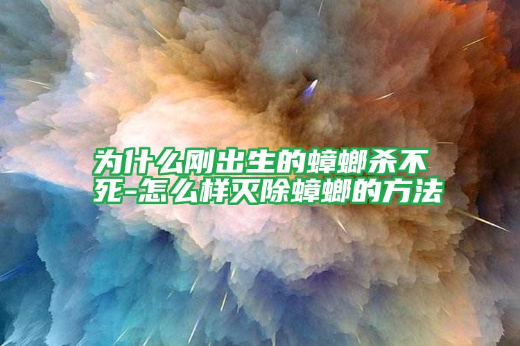 為什么剛出生的蟑螂殺不死-怎么樣滅除蟑螂的方法