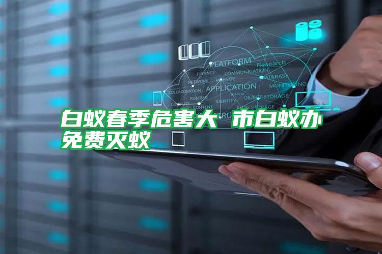 白蟻春季危害大 市白蟻辦免費滅蟻
