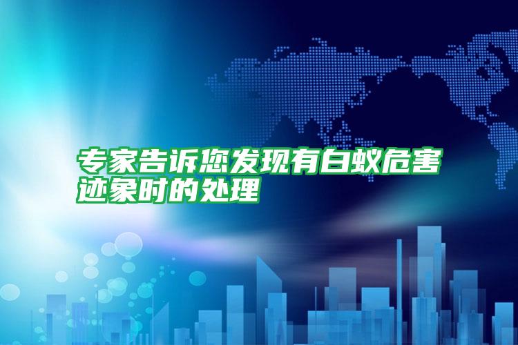 專家告訴您發(fā)現(xiàn)有白蟻危害跡象時的處理