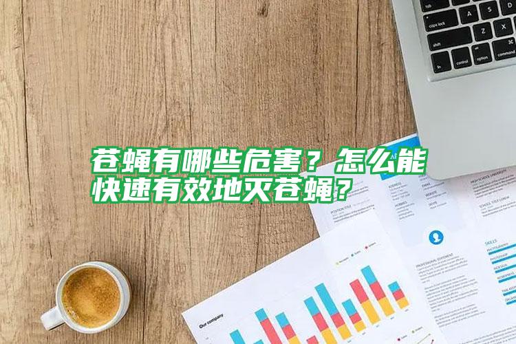蒼蠅有哪些危害？怎么能快速有效地滅蒼蠅？