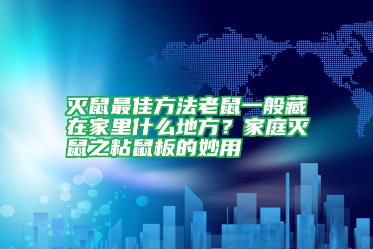 滅鼠最佳方法老鼠一般藏在家里什么地方?家庭滅鼠之粘鼠板的妙用