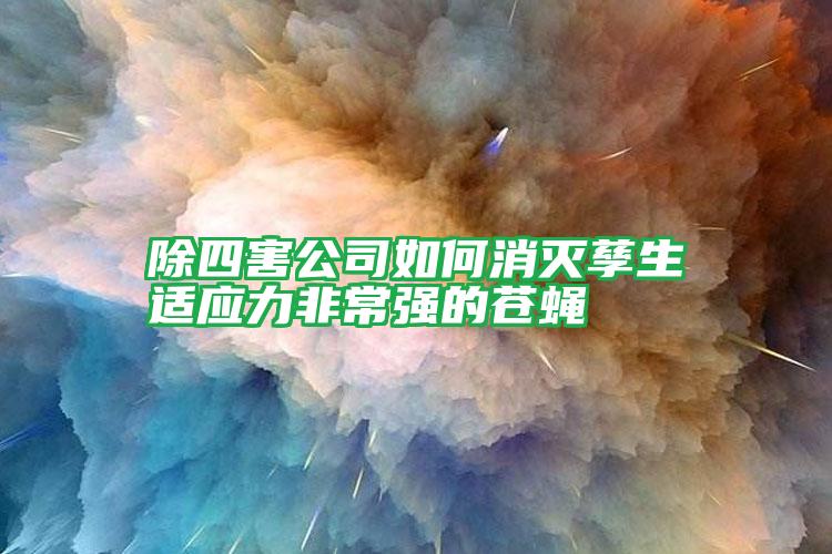 除四害公司如何消滅孳生適應力非常強的蒼蠅