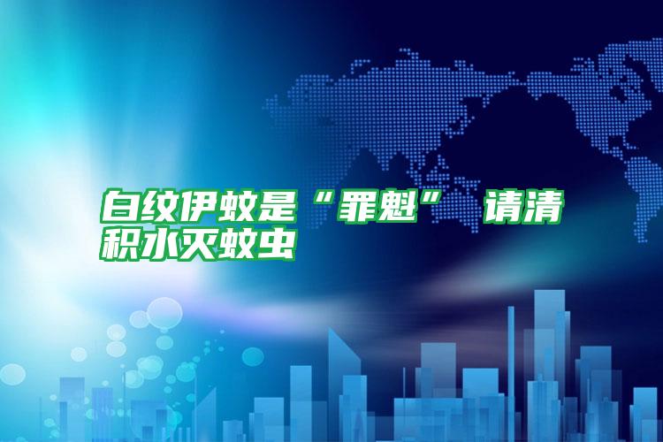 白紋伊蚊是“罪魁” 請(qǐng)清積水滅蚊蟲