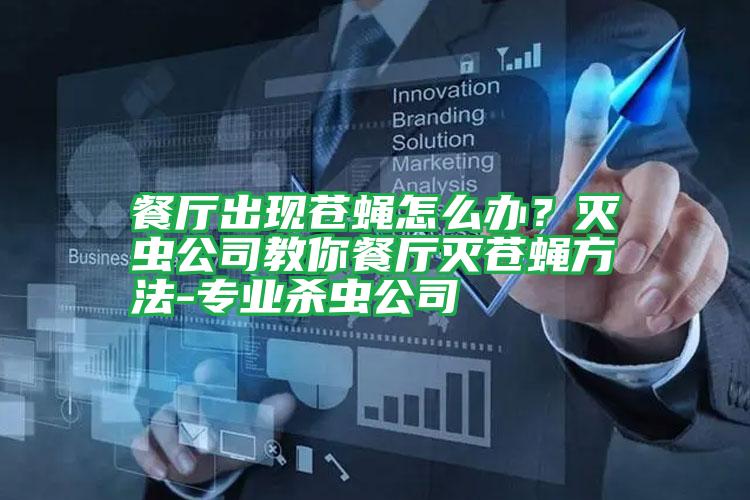 餐廳出現(xiàn)蒼蠅怎么辦?滅蟲公司教你餐廳滅蒼蠅方法-專業(yè)殺蟲公司