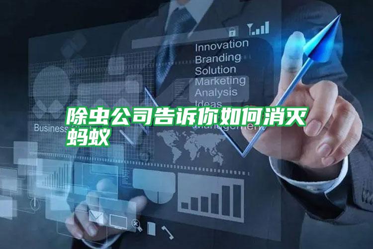 除蟲(chóng)公司告訴你如何消滅螞蟻