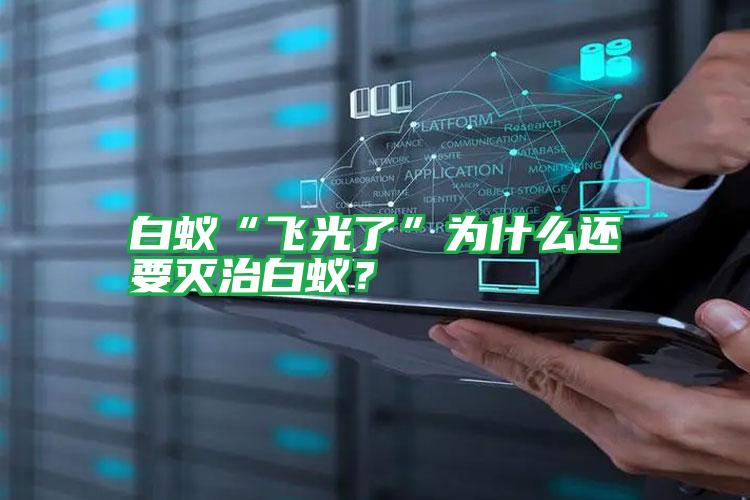 白蟻“飛光了”為什么還要滅治白蟻?