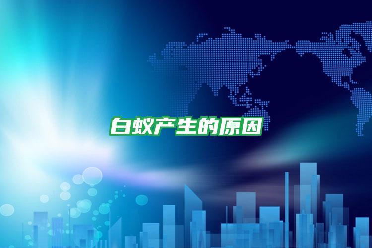 白蟻產(chǎn)生的原因