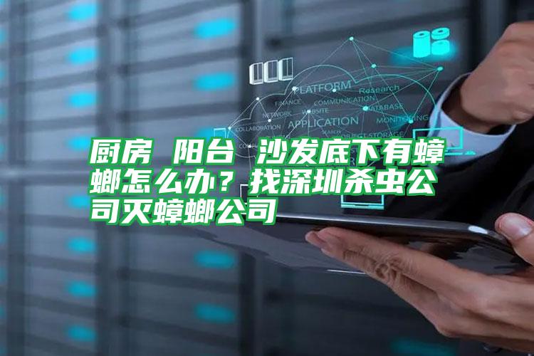 廚房 陽臺 沙發(fā)底下有蟑螂怎么辦?找深圳殺蟲公司滅蟑螂公司