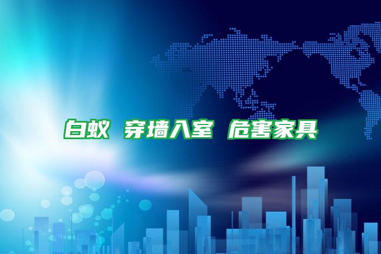 白蟻 穿墻入室 危害家具