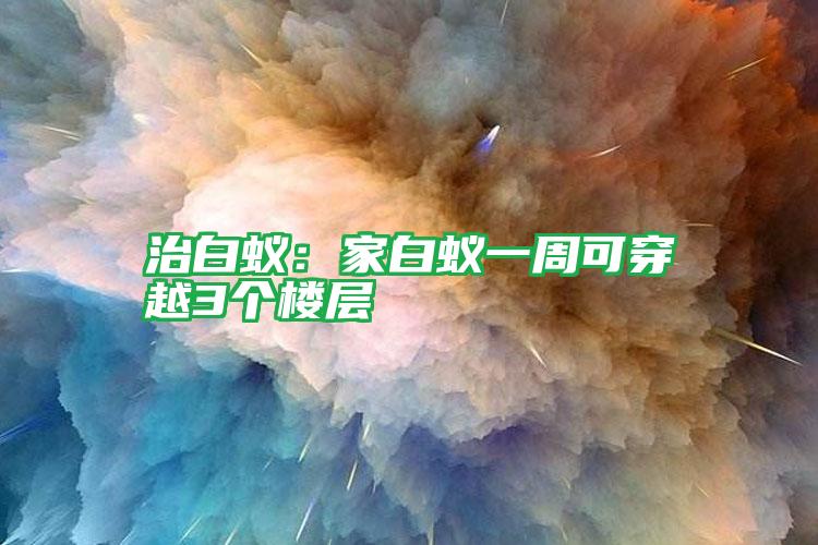 治白蟻:家白蟻一周可穿越3個(gè)樓層
