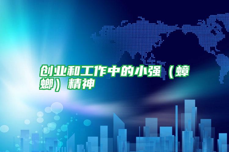創(chuàng)業(yè)和工作中的小強(蟑螂)精神