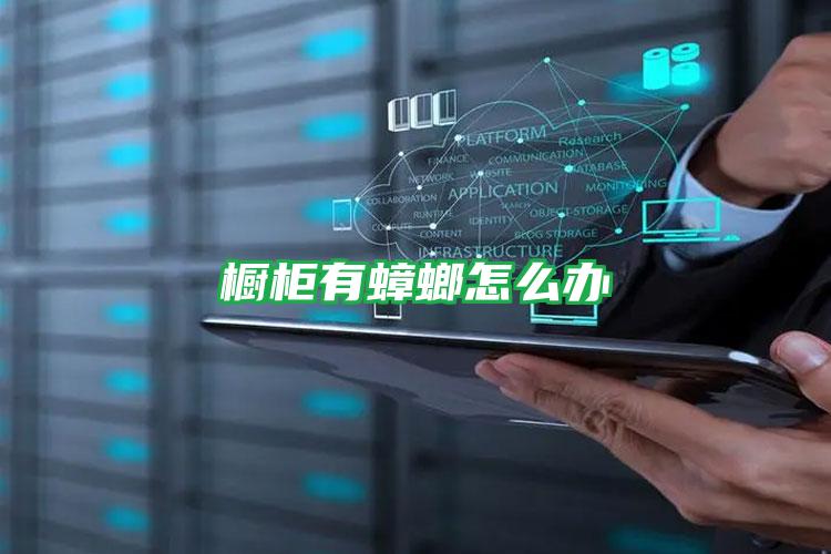櫥柜有蟑螂怎么辦