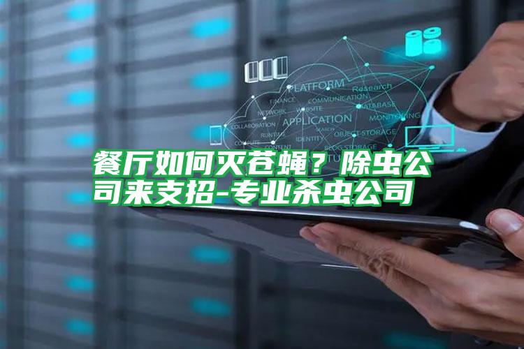 餐廳如何滅蒼蠅?除蟲(chóng)公司來(lái)支招-專(zhuān)業(yè)殺蟲(chóng)公司