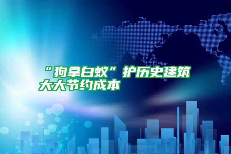 “狗拿白蟻”護歷史建筑 大大節(jié)約成本