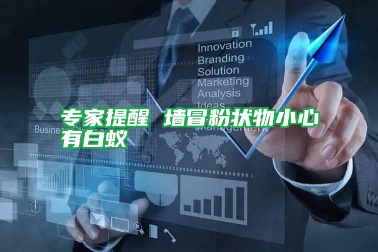 專家提醒 墻冒粉狀物小心有白蟻