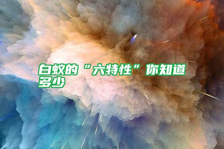 白蟻的“六特性”你知道多少