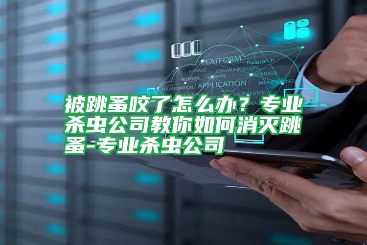 被跳蚤咬了怎么辦?專業(yè)殺蟲公司教你如何消滅跳蚤-專業(yè)殺蟲公司