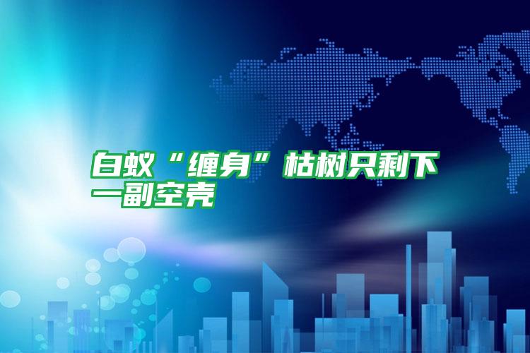 白蟻“纏身”枯樹只剩下一副空殼
