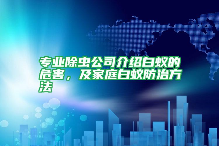 專業(yè)除蟲公司介紹白蟻的危害,及家庭白蟻防治方法