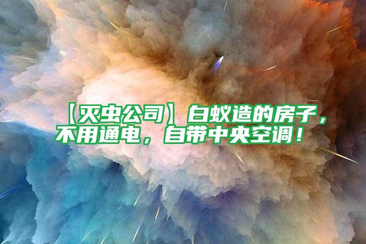 【滅蟲公司】白蟻造的房子,不用通電,自帶中央空調(diào)!