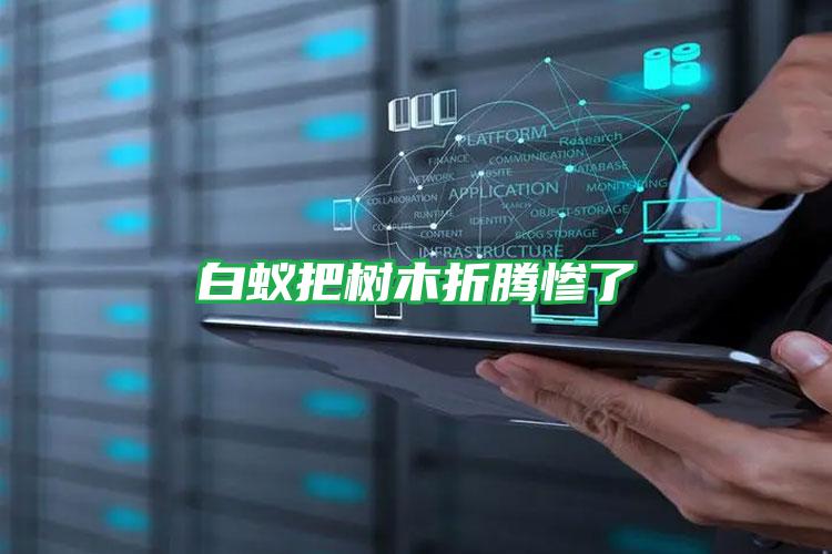 白蟻把樹木折騰慘了
