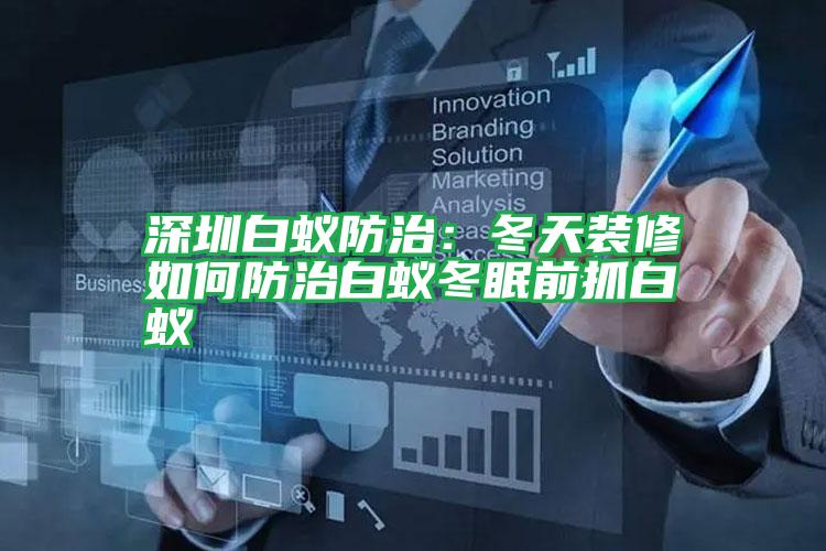 深圳白蟻防治:冬天裝修如何防治白蟻冬眠前抓白蟻