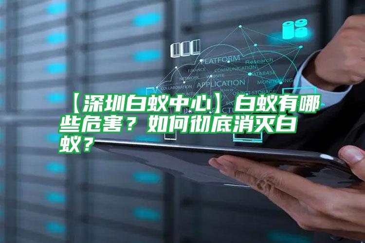 【深圳白蟻中心】白蟻有哪些危害?如何徹底消滅白蟻?
