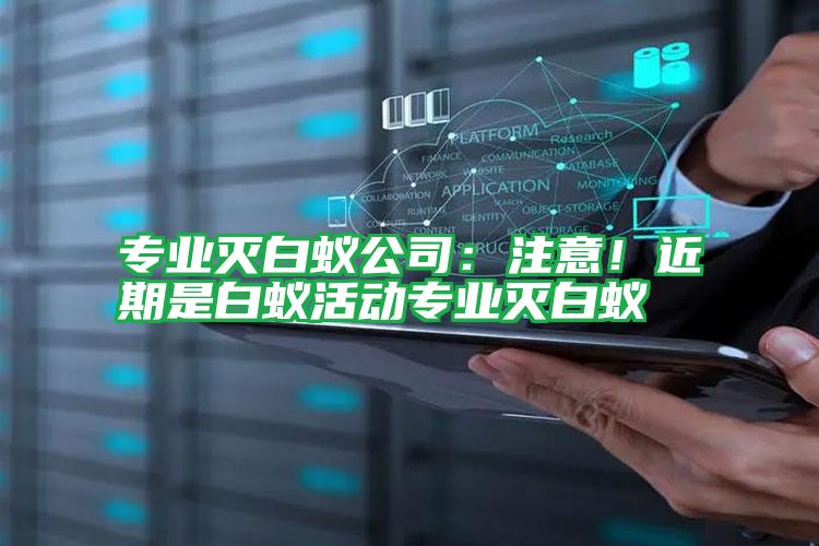 專業(yè)滅白蟻公司:注意!近期是白蟻活動專業(yè)滅白蟻