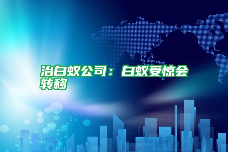 治白蟻公司:白蟻受驚會(huì)轉(zhuǎn)移