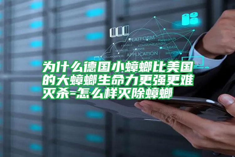 為什么德國(guó)小蟑螂比美國(guó)的大蟑螂生命力更強(qiáng)更難滅殺-怎么樣滅除蟑螂