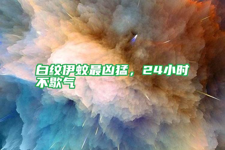 白紋伊蚊最兇猛,24小時不歇氣