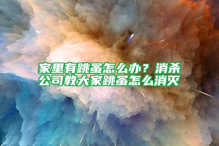 家里有跳蚤怎么辦?消殺公司教大家跳蚤怎么消滅