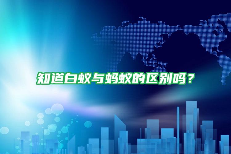 知道白蟻與螞蟻的區(qū)別嗎?