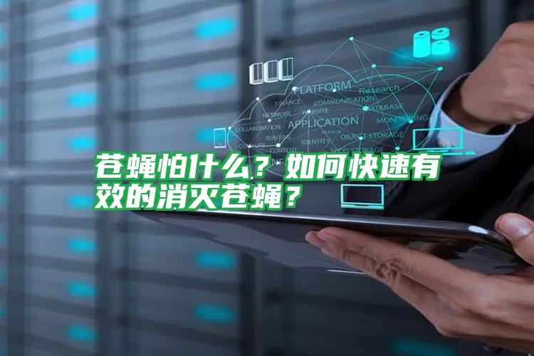 蒼蠅怕什么？如何快速有效的消滅蒼蠅？