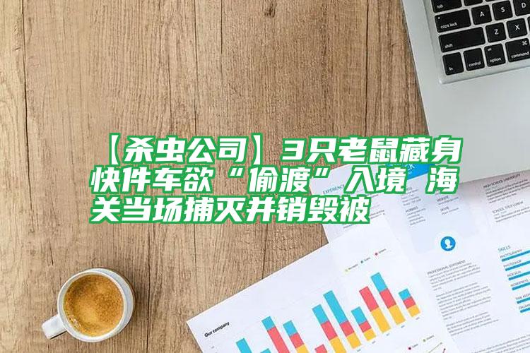 【殺蟲公司】3只老鼠藏身快件車欲“偷渡”入境 海關(guān)當場捕滅并銷毀被