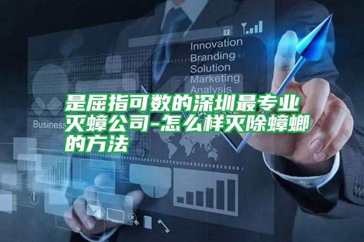 是屈指可數(shù)的深圳最專業(yè)滅蟑公司-怎么樣滅除蟑螂的方法