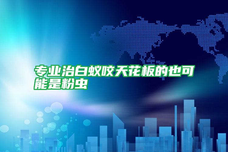 專業(yè)治白蟻咬天花板的也可能是粉蟲(chóng)
