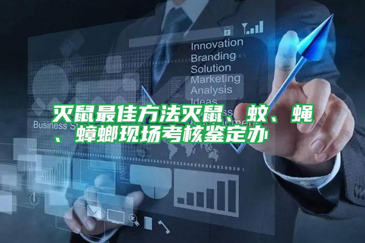 滅鼠最佳方法滅鼠、蚊、蠅、蟑螂現(xiàn)場考核鑒定辦