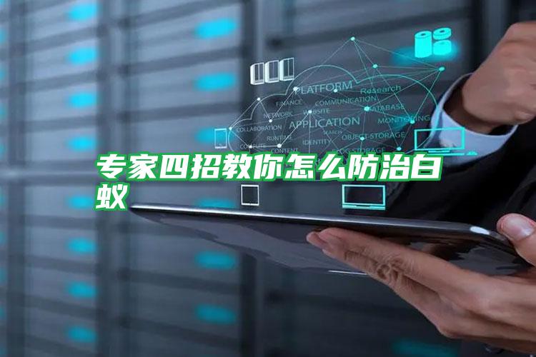 專家四招教你怎么防治白蟻