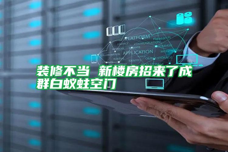 裝修不當 新樓房招來了成群白蟻蛀空門