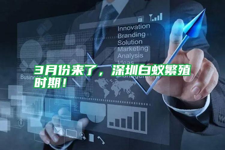 3月份來了,深圳白蟻繁殖時期!