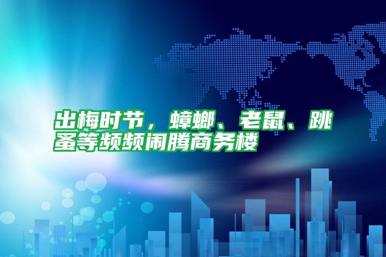 出梅時節(jié),蟑螂、老鼠、跳蚤等頻頻鬧騰商務(wù)樓