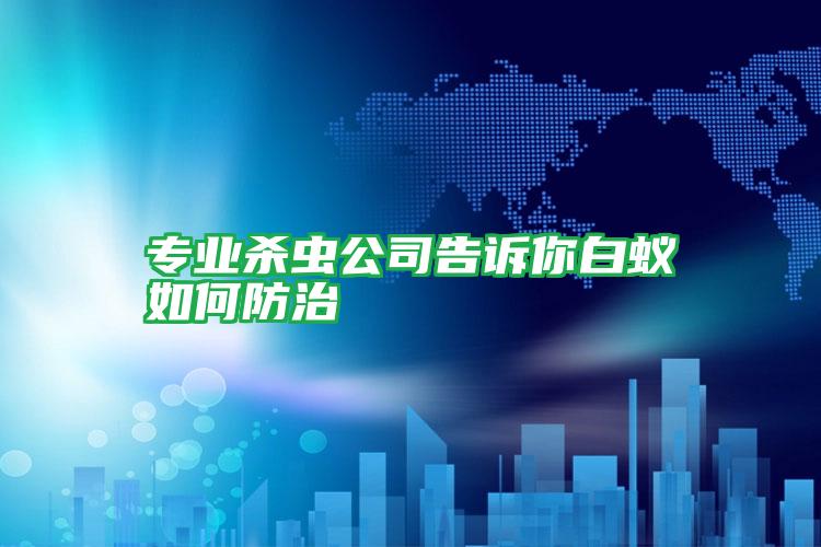 專業(yè)殺蟲公司告訴你白蟻如何防治