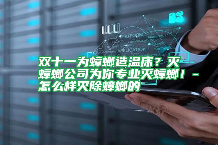 雙十一為蟑螂造溫床?滅蟑螂公司為你專業(yè)滅蟑螂!-怎么樣滅除蟑螂的