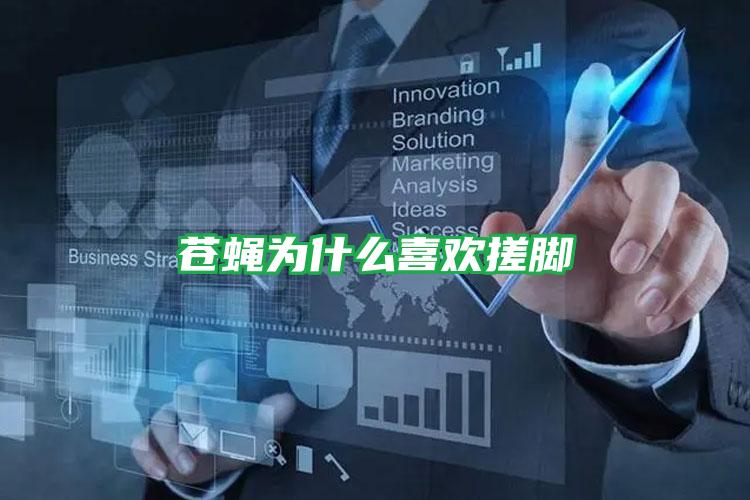 蒼蠅為什么喜歡搓腳