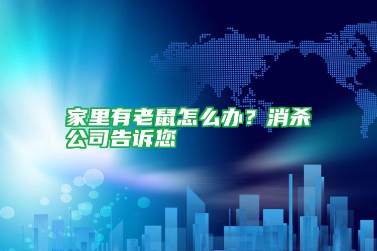 家里有老鼠怎么辦?消殺公司告訴您