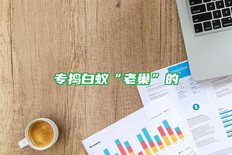 專搗白蟻“老巢”的