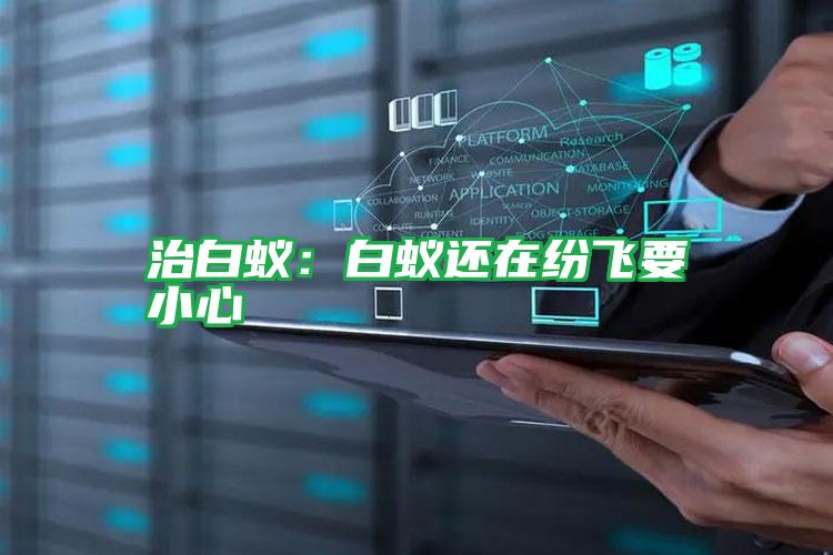 治白蟻:白蟻還在紛飛要小心