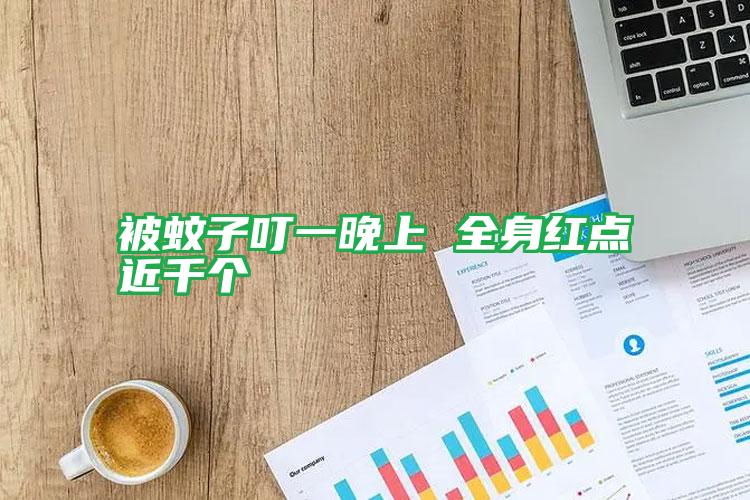 被蚊子叮一晚上 全身紅點(diǎn)近千個